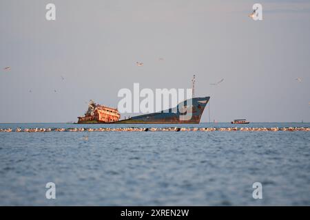 Oiseaux de mer se reposant près de l'épave rouillée MV Turgut Usta, mer Noire, près de Sulina, Roumanie Banque D'Images