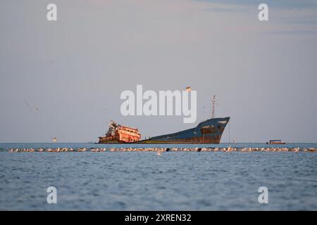 Oiseaux de mer se reposant près de l'épave rouillée MV Turgut Usta, mer Noire, près de Sulina, Roumanie Banque D'Images