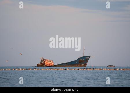 Oiseaux de mer se reposant près de l'épave rouillée MV Turgut Usta, mer Noire, près de Sulina, Roumanie Banque D'Images