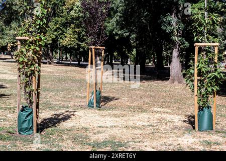 Sac d'irrigation d'arrosage en PVC à libération lente pour le système d'arrosage d'arbres Saving dans le parc municipal en gros plan Banque D'Images