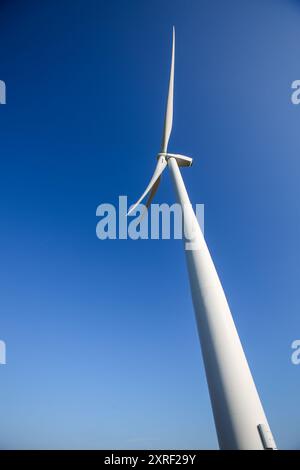 Hook Moor Wind Farm, Aberford, Leeds, West Yorkshire par temps hivernal brillant. Le parc éolien longe la jonction de la M1 et de l'A1. Banque D'Images