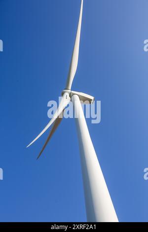 Hook Moor Wind Farm, Aberford, Leeds, West Yorkshire par temps hivernal brillant. Le parc éolien longe la jonction de la M1 et de l'A1. Banque D'Images