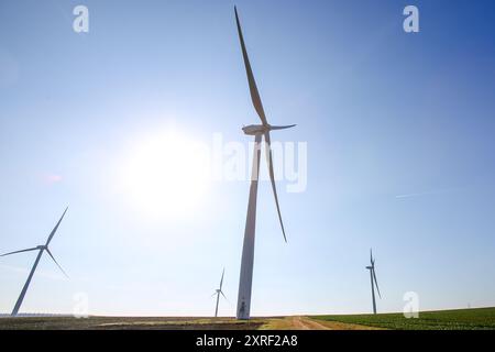 Hook Moor Wind Farm, Aberford, Leeds, West Yorkshire par temps hivernal brillant. Le parc éolien longe la jonction de la M1 et de l'A1. Banque D'Images