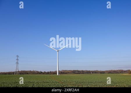 Hook Moor Wind Farm, Aberford, Leeds, West Yorkshire par temps hivernal brillant. Le parc éolien longe la jonction de la M1 et de l'A1. Banque D'Images