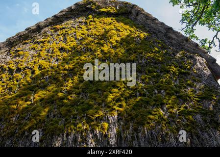 musée en plein air. Toit d'un ancien bâtiment résidentiel hongrois traditionnel à Skanzen. Banque D'Images