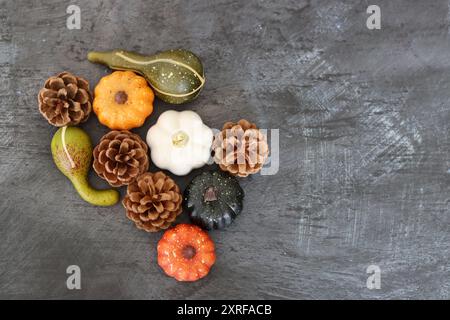 Citrouilles décoratives et cônes de sapin sur une table. Gros plan photo d'ornements d'automne sur fond de texture sombre avec espace de copie. Banque D'Images