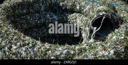 Tuyau de drainage en plastique enroulé enveloppé de fibres de gazon artificiel, produit à partir de déchets résiduels provenant de champs de gazon artificiel usagés Banque D'Images