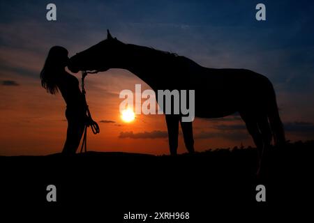 Silhouette d'un cheval embrassant une fille au coucher du soleil Banque D'Images