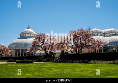 Jardin botanique de New York, Enid A Haupt Conservatory, Bronx, New York, NY, États-Unis Banque D'Images