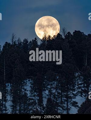 Plein lune au-dessus du parc national de Yellowstone, Wyoming, en hiver Banque D'Images