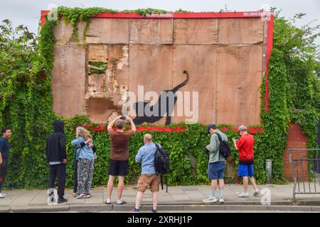 Des photographes et des membres du public prennent des photos d'une nouvelle œuvre d'art de Banksy sur un vieux panneau d'affichage à Cricklewood. L'œuvre d'art, représentant un chat sauvage, comme un tigre ou un léopard, est la sixième nouvelle œuvre d'art en six jours à Londres par l'insaisissable artiste de rue. (Photo de Vuk Valcic / SOPA images/SIPA USA) Banque D'Images