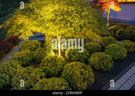 Un jardin serein avec des buissons soigneusement taillés et des arbres vibrants éclairés par un éclairage tamisé la nuit. Banque D'Images