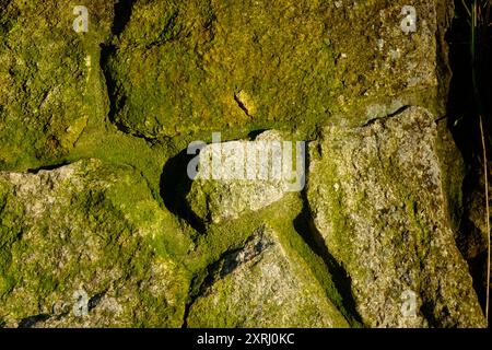 Vue détaillée d'un ancien mur de pierre avec de la mousse et du lichen poussant sur les rochers. Banque D'Images