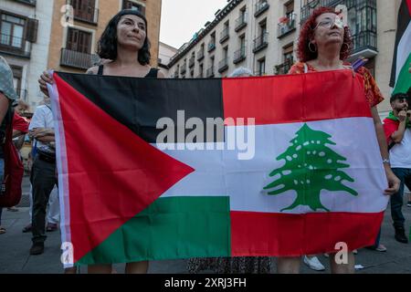 Madrid, Espagne. 10 août 2024. Un rassemblement d'urgence a été organisé cet après-midi devant le ministère espagnol des Affaires étrangères par des résidents palestiniens et des sympathisants pro-palestiniens pour condamner la dernière attaque de l'armée israélienne contre une école à Gaza qui servait d'abri et où, selon le gouvernement du Hamas dans la bande de Gaza, le bilan est de plus de 100 morts. Crédit : D. Canales Carvajal/Alamy Live News Banque D'Images