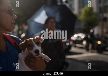 Madrid, Espagne. 10 août 2024. Une femme porte son chien pendant une chaude journée d'été. Madrid enregistre des températures élevées de plus de 40 degrés Celsius pendant une vague de chaleur estivale. Crédit : Marcos del Mazo/Alamy Live News Banque D'Images