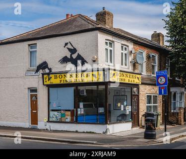 Pelicans au Bonners Fish Bar : fait partie de la série animalière londonienne de Banksy à Walthamstow. Banque D'Images