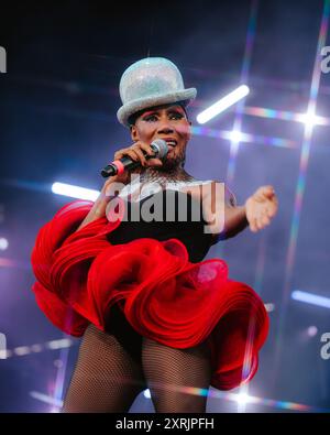 Grace Jones se produit sur la scène Lands End lors du Outside Lands 2024 Music and Arts Festival qui se tient au Golden Gate Bridge Park à San Francisco, EN CALIFORNIE, le 10 août 2024. (Photo par Alive Coverage/SIPA USA) crédit : Sipa USA/Alamy Live News Banque D'Images