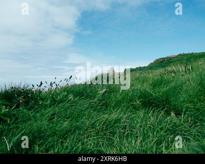 Des collines verdoyantes s'étendent à travers le paysage, parsemées de fleurs sauvages et d'herbes se balançant doucement dans la brise. Une tour solitaire s'élève dans la distance Banque D'Images