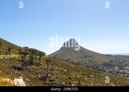 Vue sur la tête de lion depuis la route de Tafelberg Banque D'Images