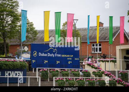 10 août 2024. La Dubai Duty Free Shergar Cup à l'hippodrome d'Ascot dans le Berkshire. Crédit : Maureen McLean/Alamy Banque D'Images