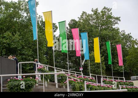 10 août 2024. La Dubai Duty Free Shergar Cup à l'hippodrome d'Ascot dans le Berkshire. Crédit : Maureen McLean/Alamy Banque D'Images