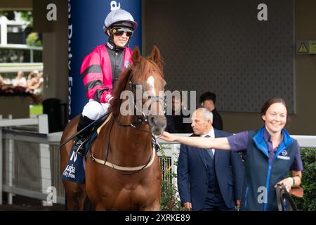 10 août 2024. MUKER monté par le jockey Hayley Turner se dirige sur le circuit pour la Dubai Duty Free Shergar Cup Dash (handicap de classe 2) à la Dubai Duty Free Shergar Cup à Ascot Racecourse dans le Berkshire. Propriétaire Peter Blyth et associé, entraîneur Nigel Tinkler, Malton, éleveur Mr Joe & June Staunton, commanditaire Alexanders York. Crédit : Maureen McLean/Alamy Banque D'Images