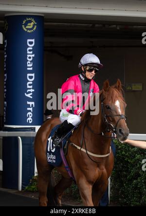 10 août 2024. MUKER monté par le jockey Hayley Turner se dirige sur le circuit pour la Dubai Duty Free Shergar Cup Dash (handicap de classe 2) à la Dubai Duty Free Shergar Cup à Ascot Racecourse dans le Berkshire. Propriétaire Peter Blyth et associé, entraîneur Nigel Tinkler, Malton, éleveur Mr Joe & June Staunton, commanditaire Alexanders York. Crédit : Maureen McLean/Alamy Banque D'Images