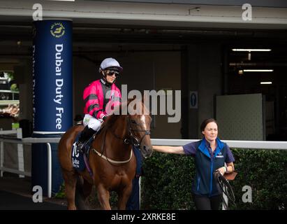 10 août 2024. MUKER monté par le jockey Hayley Turner se dirige sur le circuit pour la Dubai Duty Free Shergar Cup Dash (handicap de classe 2) à la Dubai Duty Free Shergar Cup à Ascot Racecourse dans le Berkshire. Propriétaire Peter Blyth et associé, entraîneur Nigel Tinkler, Malton, éleveur Mr Joe & June Staunton, commanditaire Alexanders York. Crédit : Maureen McLean/Alamy Banque D'Images