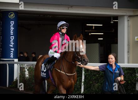 10 août 2024. MUKER monté par le jockey Hayley Turner se dirige sur le circuit pour la Dubai Duty Free Shergar Cup Dash (handicap de classe 2) à la Dubai Duty Free Shergar Cup à Ascot Racecourse dans le Berkshire. Propriétaire Peter Blyth et associé, entraîneur Nigel Tinkler, Malton, éleveur Mr Joe & June Staunton, commanditaire Alexanders York. Crédit : Maureen McLean/Alamy Banque D'Images