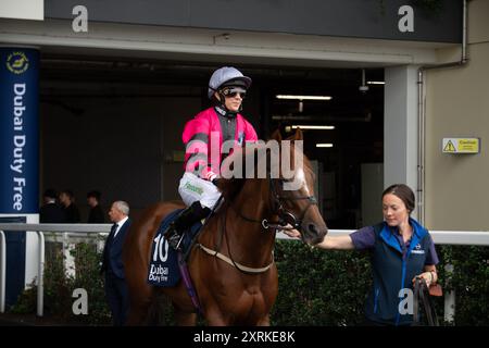 10 août 2024. MUKER monté par le jockey Hayley Turner se dirige sur le circuit pour la Dubai Duty Free Shergar Cup Dash (handicap de classe 2) à la Dubai Duty Free Shergar Cup à Ascot Racecourse dans le Berkshire. Propriétaire Peter Blyth et associé, entraîneur Nigel Tinkler, Malton, éleveur Mr Joe & June Staunton, commanditaire Alexanders York. Crédit : Maureen McLean/Alamy Banque D'Images