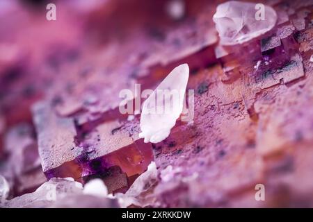 Calcite blanche sur fluorite pourpre, spécimen des Etats-Unis. fond de texture de détail de photographie macro. gros plan cristal minéral non poli semi-précieux ge Banque D'Images