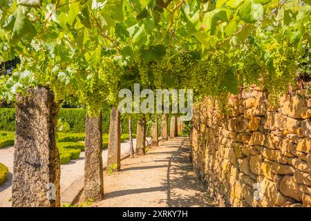 Célèbre propriété Maison de Mateus vignoble à Vila Real, Portugal Banque D'Images