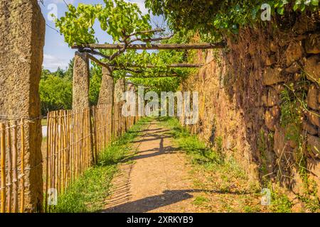 Célèbre propriété Maison de Mateus vignoble à Vila Real, Portugal Banque D'Images