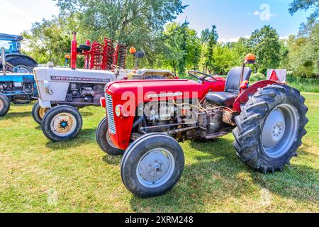 Vieux tracteurs Massey Ferguson 35 et David Brown Selectamatic 880 exposés à la foire régionale, dans le centre de la France. Banque D'Images