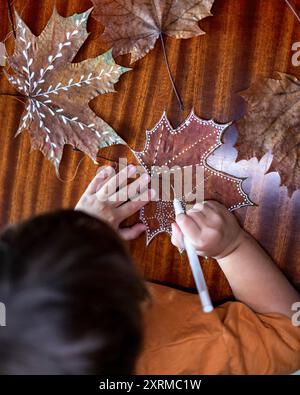 Un garçon de trois ans peint des feuilles sèches avec un stylo gel blanc. Banque D'Images