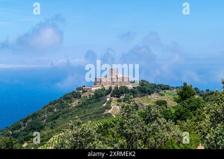 Fort Saint Elme, Collioure, Côte Vermeille, Pyrénées Orientales, Occitanie, France Banque D'Images