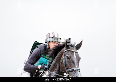 Tom Rowland de Grande-Bretagne avec Honeybrook Extra Special pendant le cross-country CCI4*S aux Five Star International Hartpury Horse Trials le 10 août 2024, Hartpury, Royaume-Uni (photo par Maxime David - MXIMD Pictures) Banque D'Images