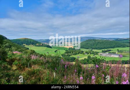 Burfa Bank et Radnor Forest vues depuis le Mortimer Trail le long de Little Brampton Scar, près de Titley, Kington, Herefordshire Banque D'Images