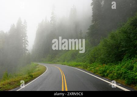 Route à deux voies vers des arbres brumeux passant devant une végétation luxuriante dans le nord-ouest du Pacifique Banque D'Images