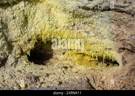 Cristaux de soufre (S) en forme d'aiguille naturelle formés dans l'ouverture d'une fumerole, ou évent de vapeur, dans une zone volcanique active. Guatemala. Banque D'Images