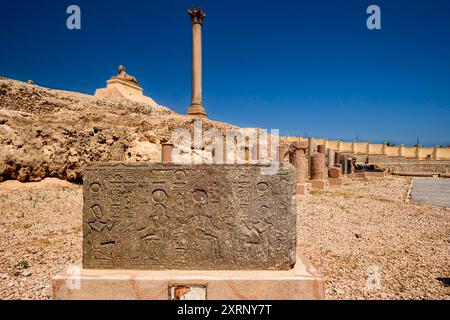 Une des statues du Sphinx et d'autres vestiges du Sérapée d'Alexandrie autour de la base du pilier de Pompée Banque D'Images