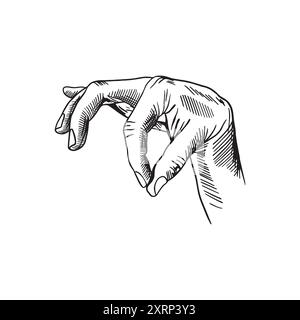 Main humaine, doigts tenant, pressant. Illustration vectorielle dessinée à la main dans un style graphique. Pour bannières, affiches, cartes, étiquettes, dépliants. Illustration de Vecteur