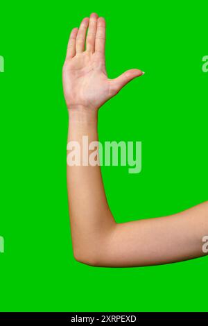 Main et avant-bras féminins soulevés devant l'arrière-plan de l'écran vert Banque D'Images