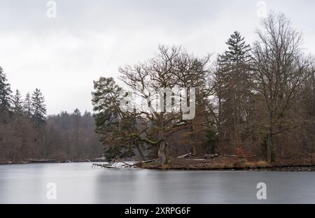 Parc Bärenschlössle à Stuttgart, Bade-Württemberg, Allemagne le Bade-Württemberg, pendant l'hiver Banque D'Images