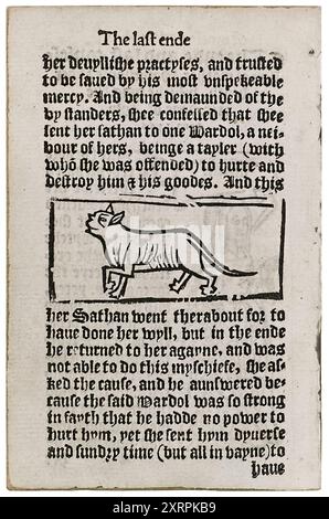 Sathan (ancienne variante de Satan) le chat de la sorcière originelle. Lors du procès d’Agnes Waterhouse (1503-1566), également connue sous le nom de « Mother Waterhouse », qui fut l’une des premières femmes exécutées pour sorcellerie en Angleterre, le chat a été décrit comme une familière possédée qui fournissait des services surnaturels. Gravure sur bois tirée d'une brochure tirée de l'examen et de la confession de certains Wytches à Chensforde dans le comté d'Essex devant les Quenes Maiesties juges du XXVI daye de juillet anno 1566, publiée en 1566. Banque D'Images