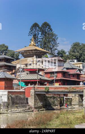 Pont devant le temple de Pashupatinath à Katmandou, au Népal Banque D'Images