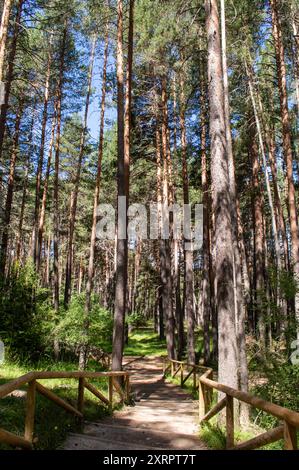 Paysage de parc naturel, chemin de la naissance de la rivière Cuervo Banque D'Images