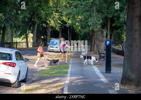 Windsor, Berkshire, Royaume-Uni. 12 août 2024. Promeneurs de chiens dehors lumineux et tôt ce matin à Windsor, Berkshire sur ce qui est prévu pour être le jour le plus chaud de l'année jusqu'à présent. Crédit : Maureen McLean/Alamy Live News Banque D'Images