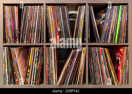 Heavy Metal Vinyl Records, Une collection de disques vinyles est soigneusement organisée sur une unité à plusieurs étagères, chaque compartiment rempli de pochettes d'album colorées Banque D'Images