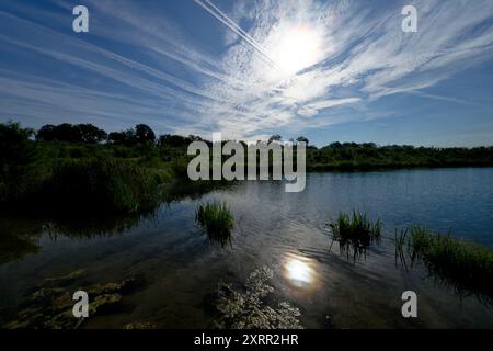 Cologne, Allemagne. 12 août 2024. Le soleil chaud du matin se reflète dans l'eau de Fühlinger See. Crédit : Henning Kaiser/dpa/Alamy Live News Banque D'Images